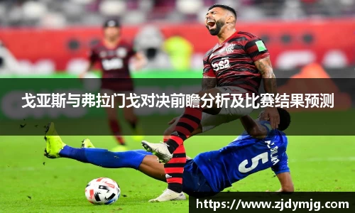 戈亚斯与弗拉门戈对决前瞻分析及比赛结果预测